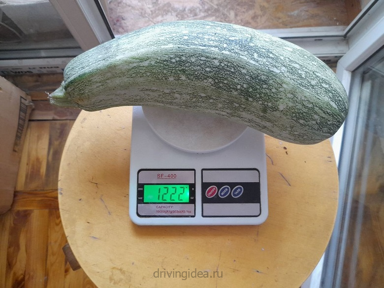 Кабачок на кухонных весах